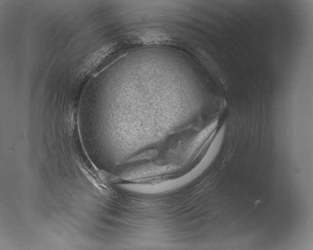 X0000076320405200610201644