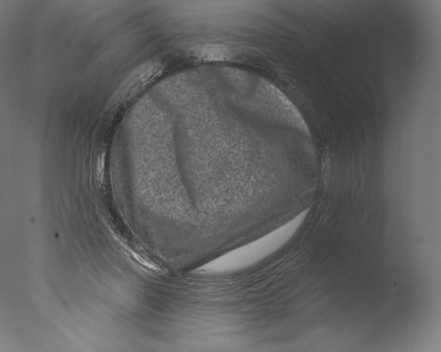 X0000076320406200610201644