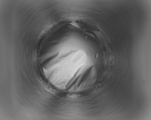 X0000076320407200610201644