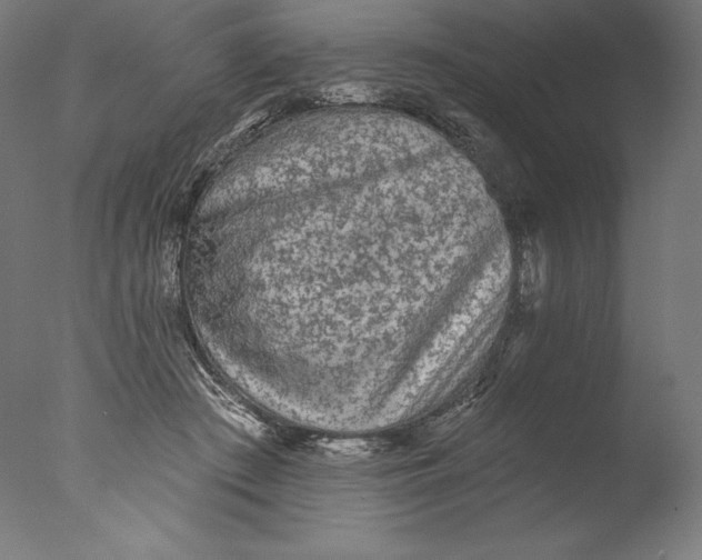 X0000076320409200610201644