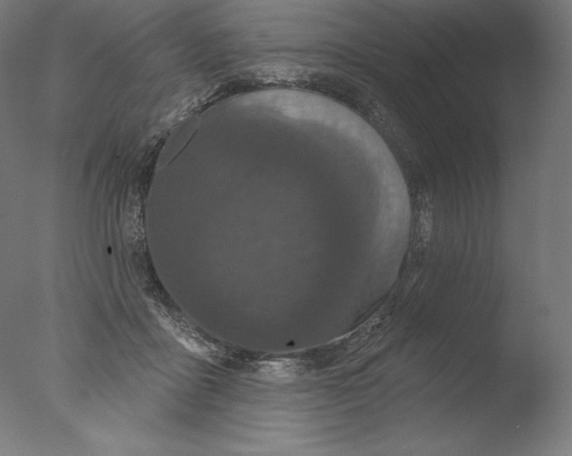 X0000076320411200610201644