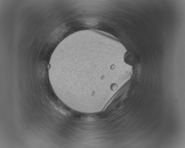 X0000076320412200610201644