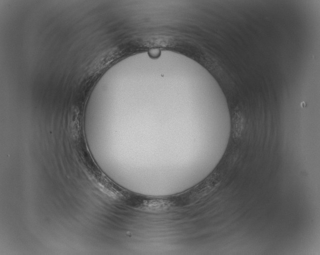 X0000076320414200610201644