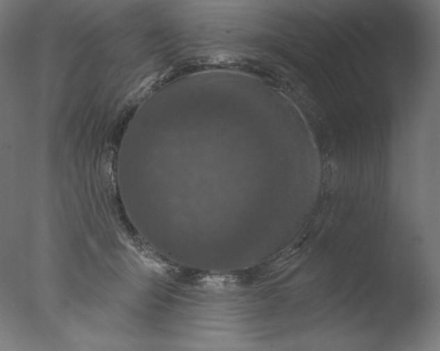 X0000076320415200610201644