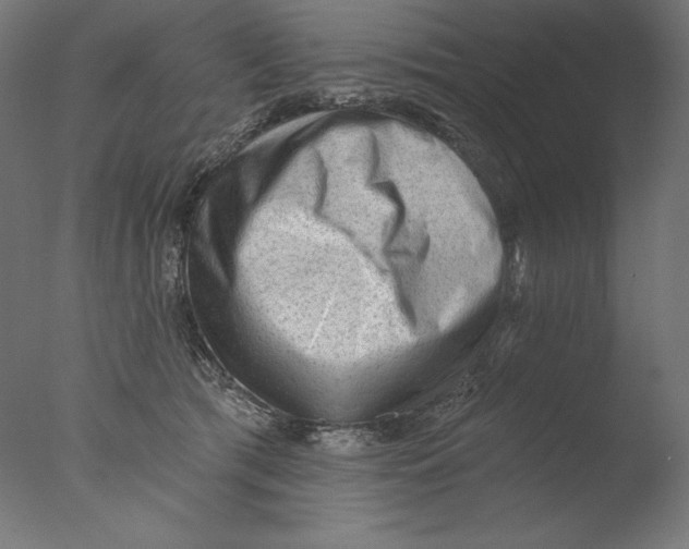 X0000076320417200610201644