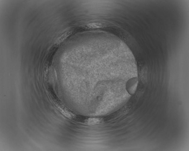 X0000076320418200610201644