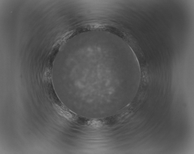 X0000076320419200610201644