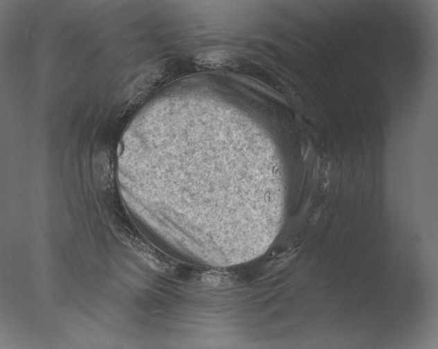 X0000076320420200610201644