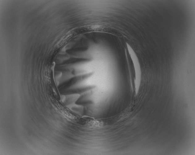 X0000076320421200610201644