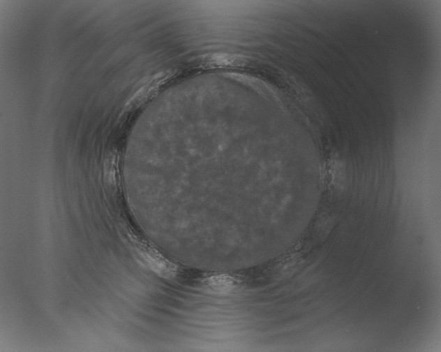 X0000076320423200610201644