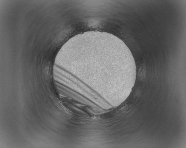 X0000076320424200610201644