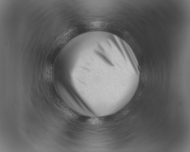 X0000076320425200610201644