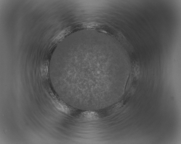 X0000076320427200610201643