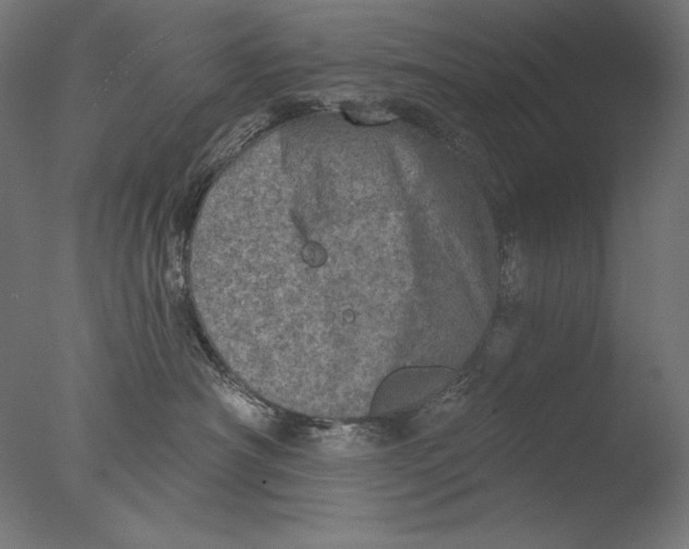 X0000076320430200610201643