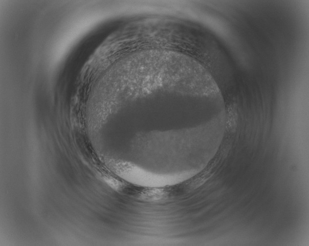 X0000076320431200610201643