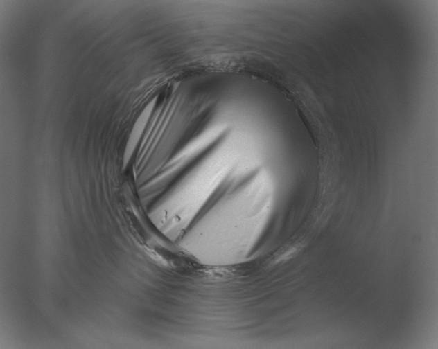 X0000076320432200610201643