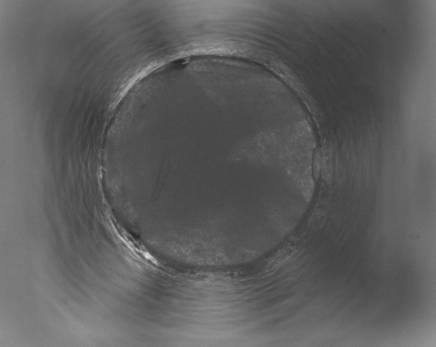 X0000076320434200610201643