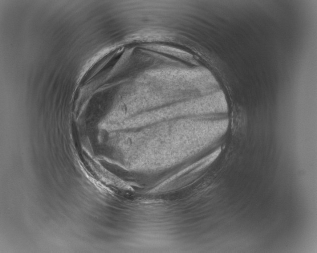 X0000076320438200610201643