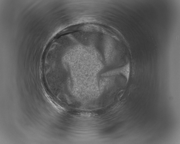 X0000076320439200610201643