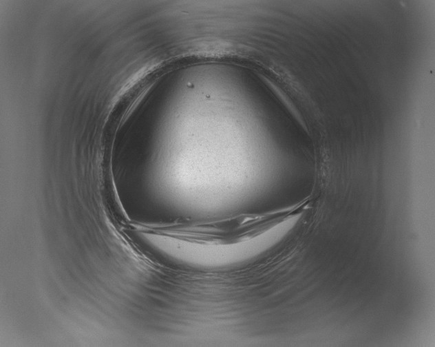 X0000076320440200610201643