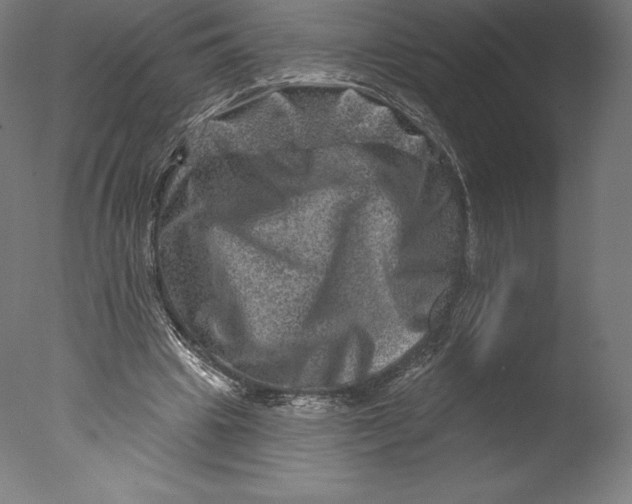 X0000076320441200610201643