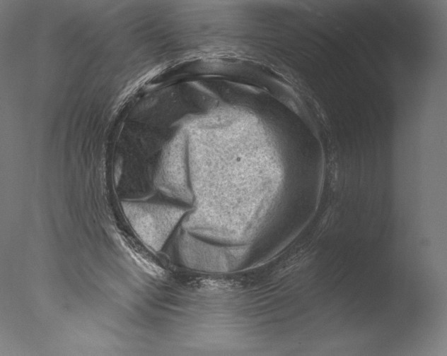 X0000076320442200610201643