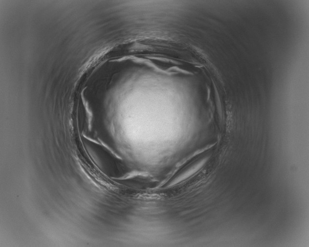 X0000076320443200610201643