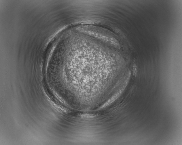 X0000076320444200610201643