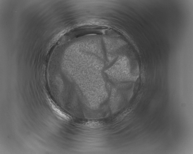 X0000076320445200610201643