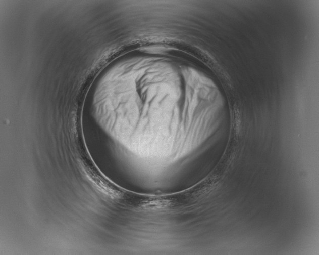 X0000076320447200610201643