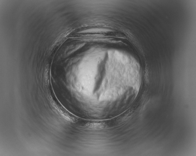 X0000076320449200610201643