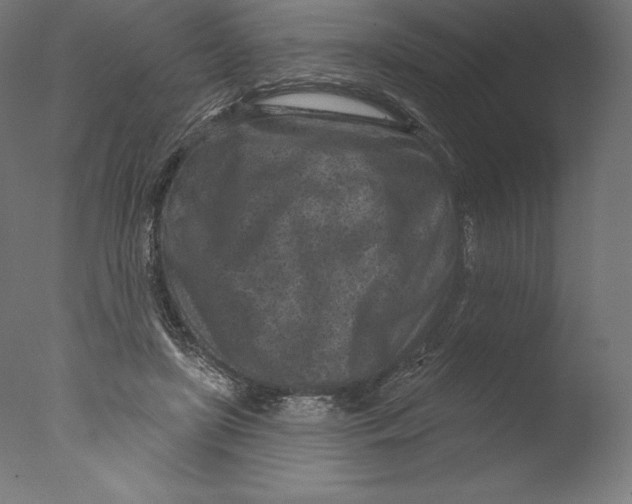 X0000076320451200610201643