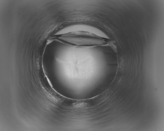 X0000076320452200610201643