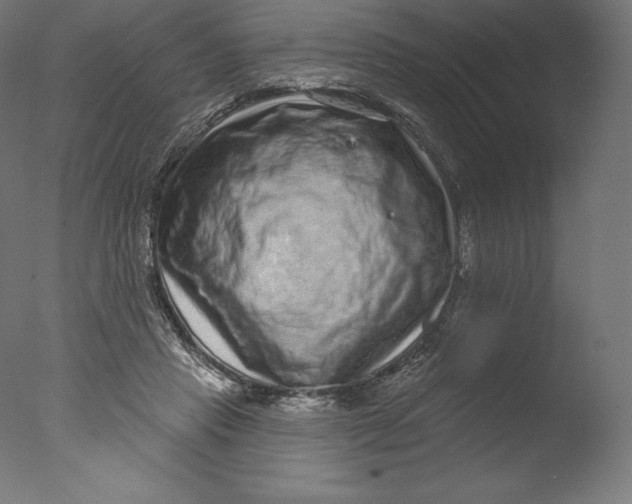 X0000076320453200610201643