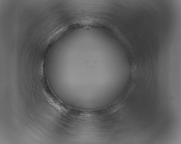 X0000076320454200610201643