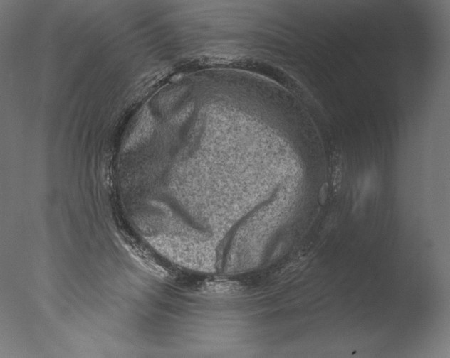 X0000076320455200610201643