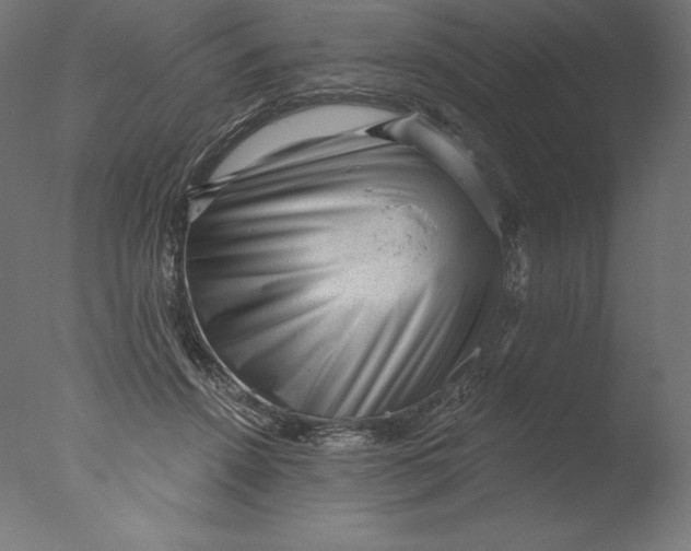 X0000076320456200610201643