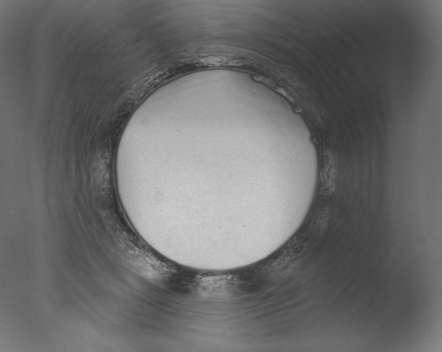 X0000076320461200610201643