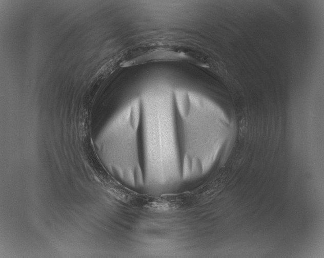 X0000076320464200610201643