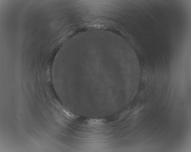 X0000076320465200610201643