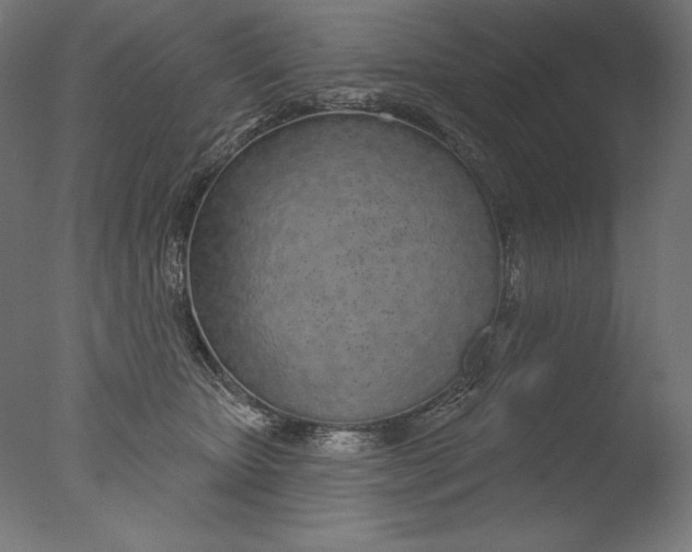 X0000076320467200610201643