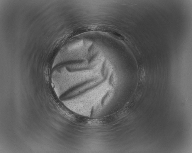 X0000076320470200610201643