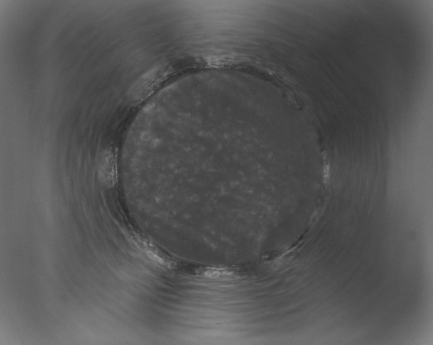 X0000076320471200610201643