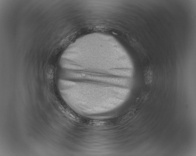 X0000076320472200610201643