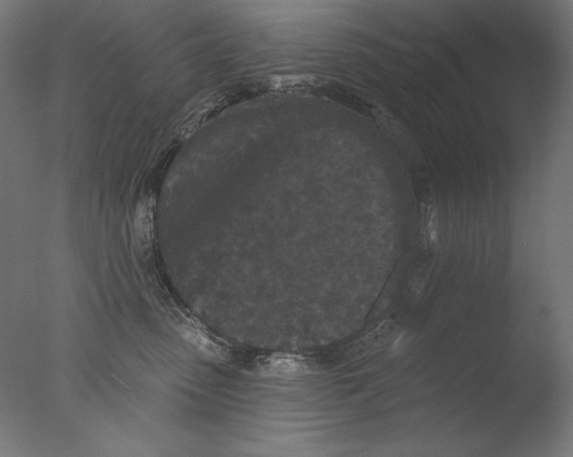 X0000076320475200610201643