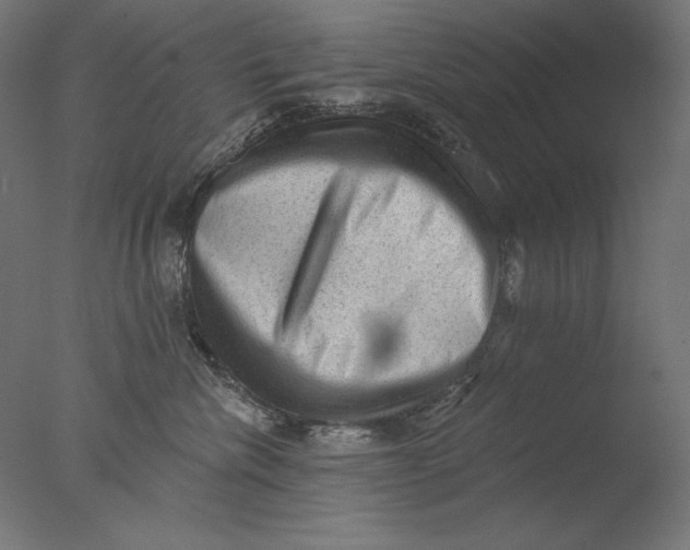 X0000076320476200610201643