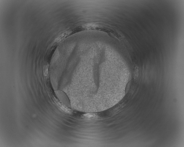 X0000076320477200610201643