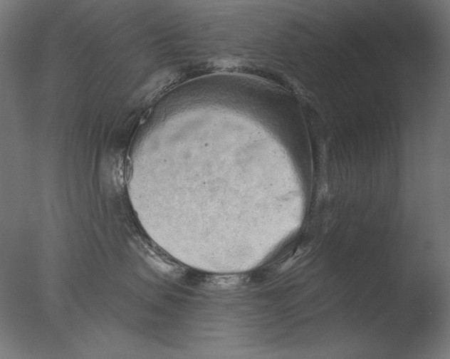 X0000076320479200610201643