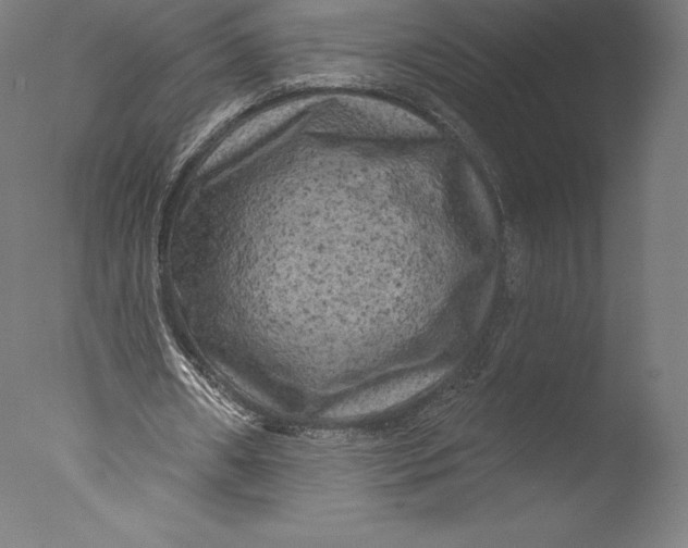 X0000076320482200610201643