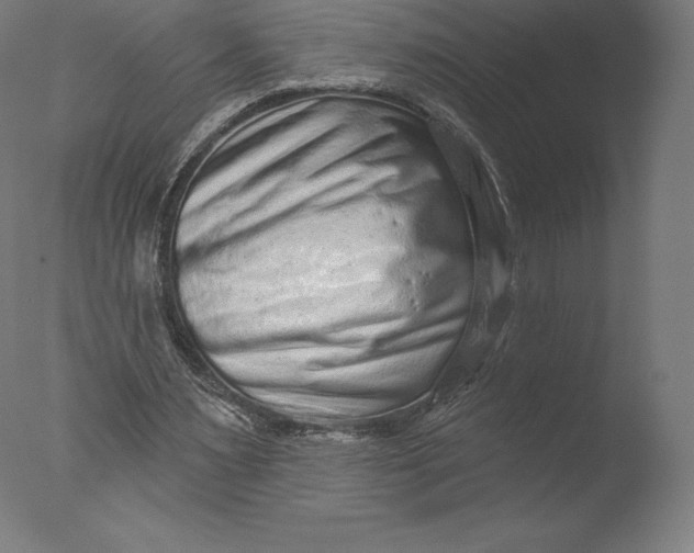 X0000076320483200610201643